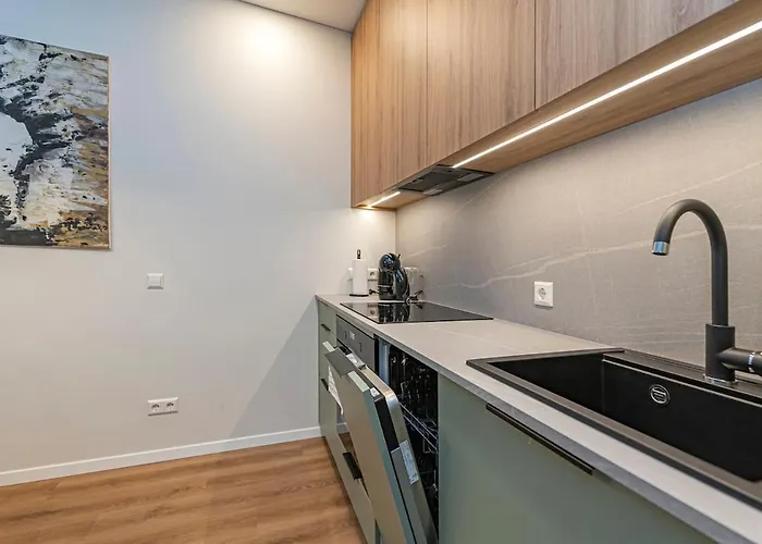 Lägenhet Vytauto 43 3 By Domvia *